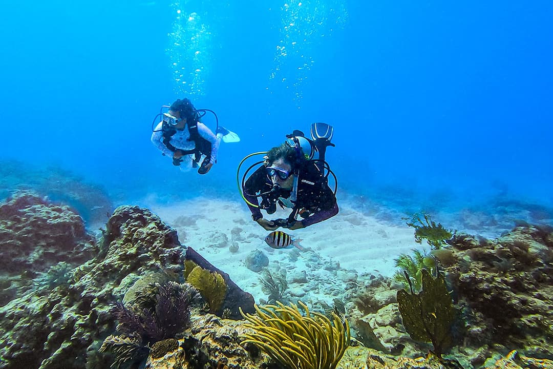 Carysfort Reef